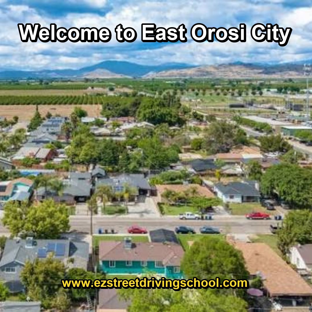 Driving Lessons in East Orosi